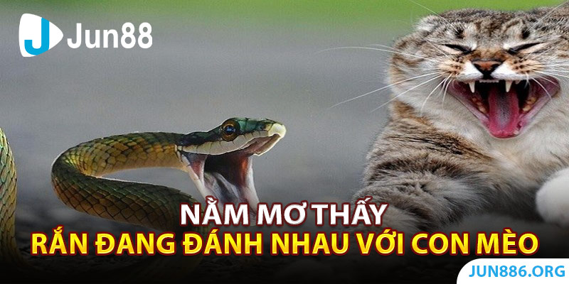 Nằm mơ thấy rắn đang đánh nhau với con mèo