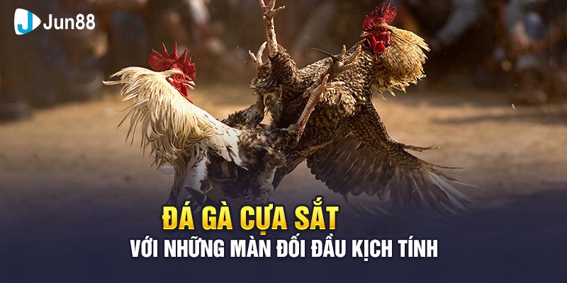 Đá Gà Cựa Sắt Jun88 - Trò Chơi Hấp Dẫn Mọi Kê Thủ 2024